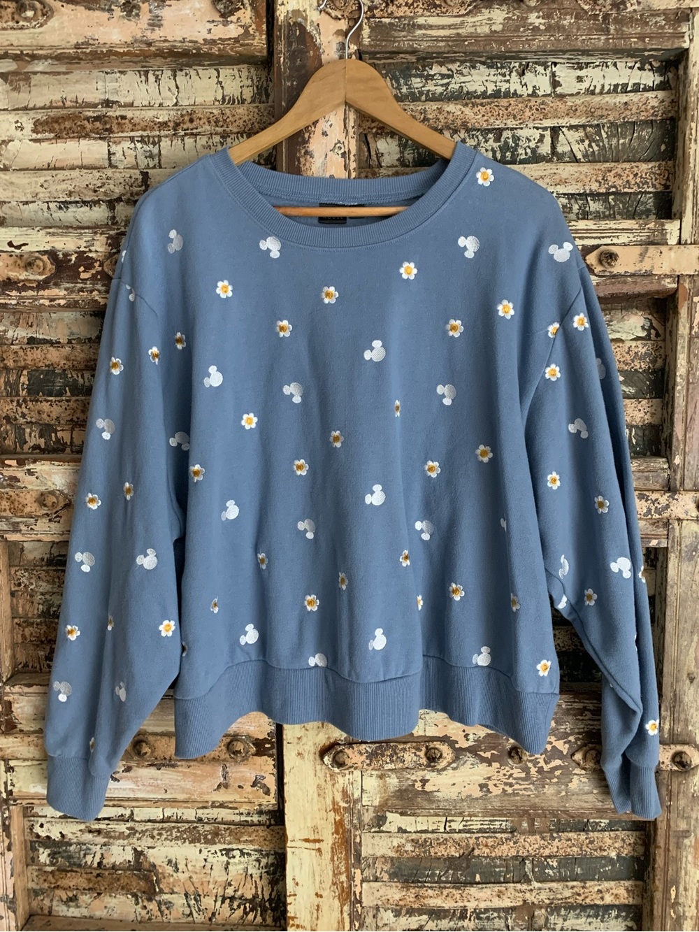 Disney Mickey Mouse Blue Sweatshirt with Embroidered Daisies, Cozy, 2X
